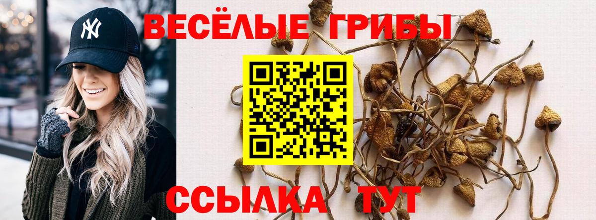 Галлюциногенные грибы Magic Shrooms Грозный