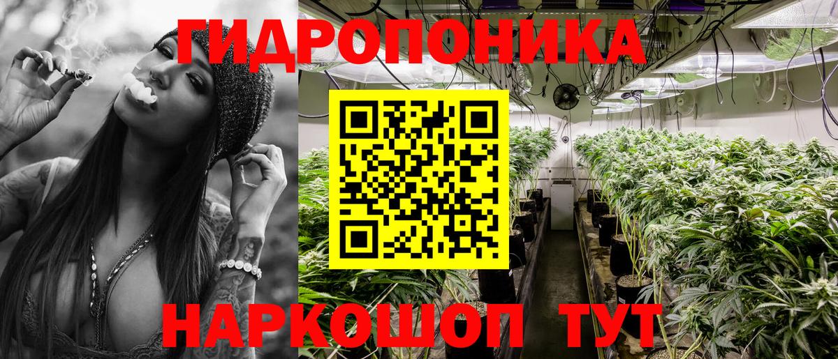 Бошки Шишки Amnesia Грозный